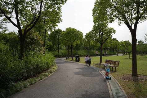 顧村公園有什麼好玩，不妨來看看這座公園如何成為了城市中的一處生態綠洲？